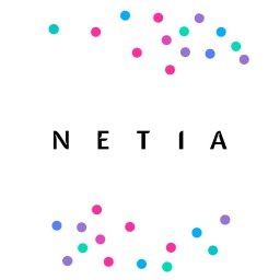 Netia S.A. - Instalacja Monitoringu Łódź