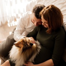 bambolina.photo Natalia Gdak - Ciepłe ujęcie: przyszła mama w oliwkowej sukience, tata i pies rasy owczarek szetlandzki, bliskość i oczekiwanie w słonecznym wnętrzu.