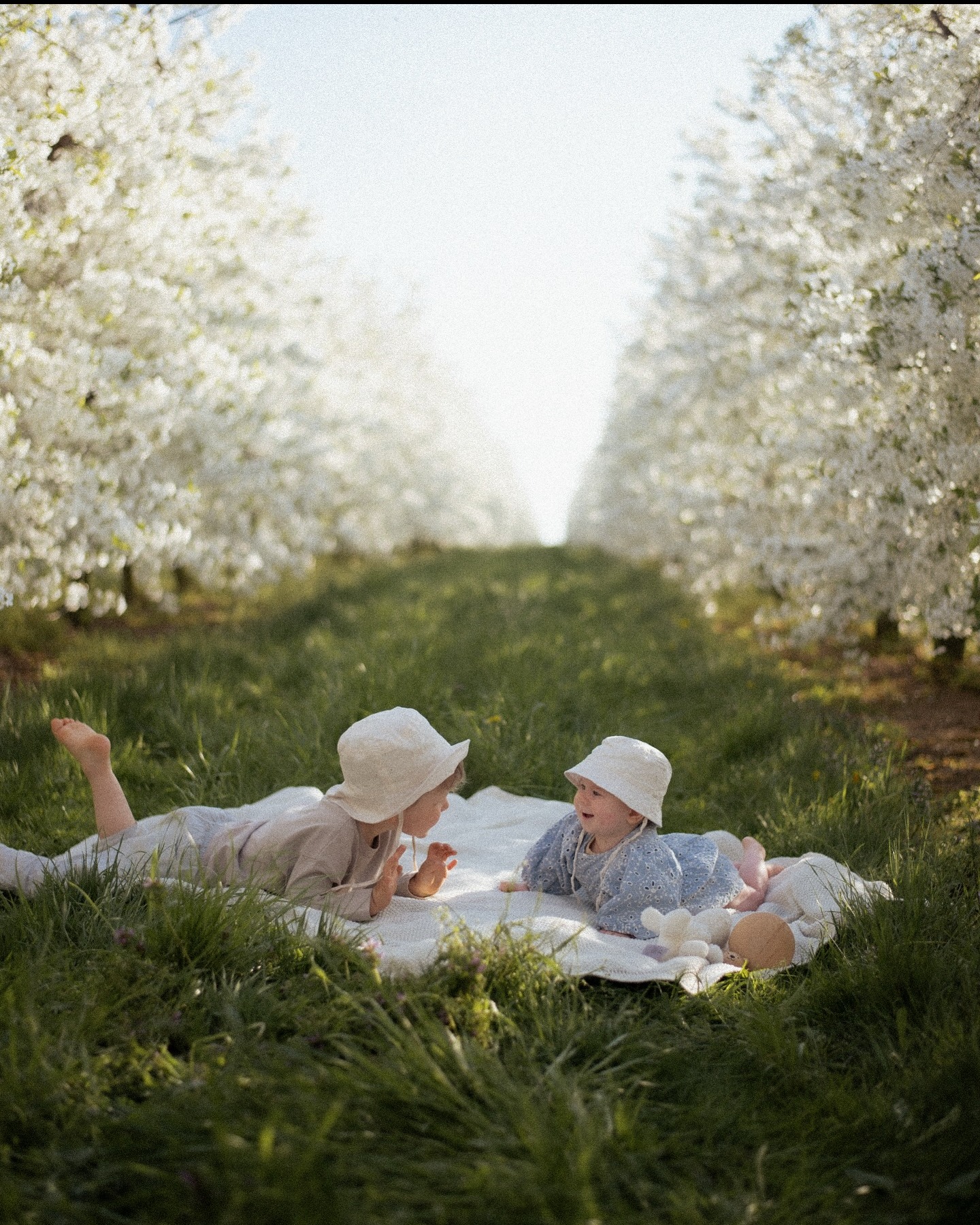 Dwoje dzieci w kapeluszach leży na kocu na trawie w sadzie kwitnących drzew. Jasne, naturalne światło, miękkie kolory, perspektywa z dołu.