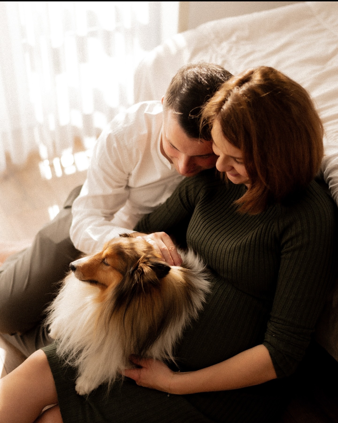 Ciepłe ujęcie: przyszła mama w oliwkowej sukience, tata i pies rasy owczarek szetlandzki, bliskość i oczekiwanie w słonecznym wnętrzu.