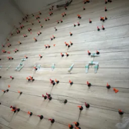 Układanie płytek podłogowych z systemem poziomowania, widoczne kliny i klipsy. Płytki imitujące drewno, jasne, ułożone poziomo. Ściana częściowo wykończona.