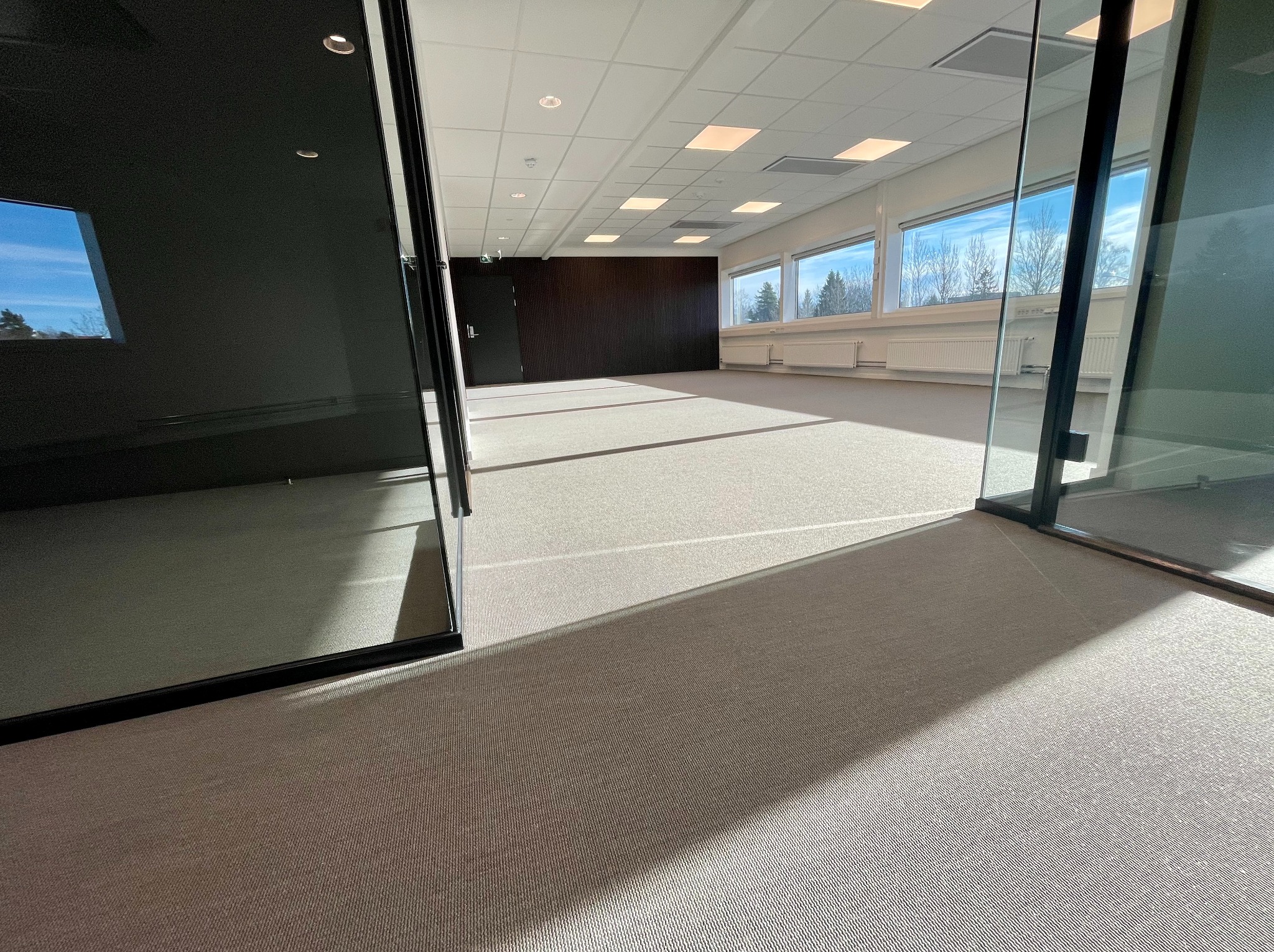 Jasna wykładzina dywanowa w nowoczesnym biurze z przeszklonymi ścianami działowymi. Widok na okna i grzejniki. Świeże, wykończone wnętrze.