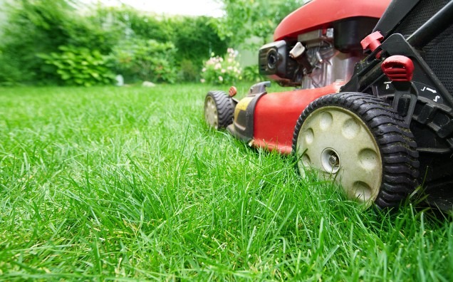 Czerwona kosiarka na tle soczystej, zielonej trawy. Kosiarka częściowo widoczna, z ostrością na koło i fragment obudowy. W tle rozmyta zieleń ogrodu.