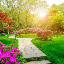 OGRODIA - Zadbamy o Twój ogród!