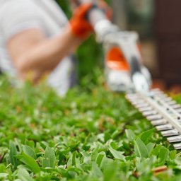 OGRODIA - Strzyżenie żywopłotu