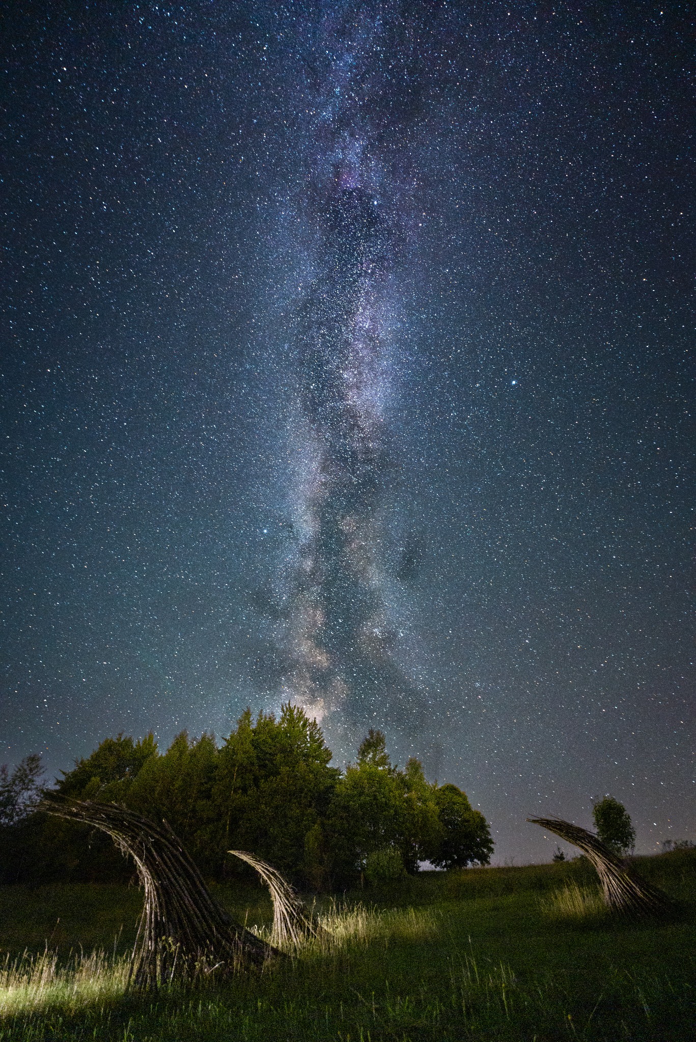 Nocne zdjęcie: Droga Mleczna nad polaną z drzewami i nietypowymi konstrukcjami z gałęzi, oświetlonymi od dołu. Efektowny krajobraz nocny.