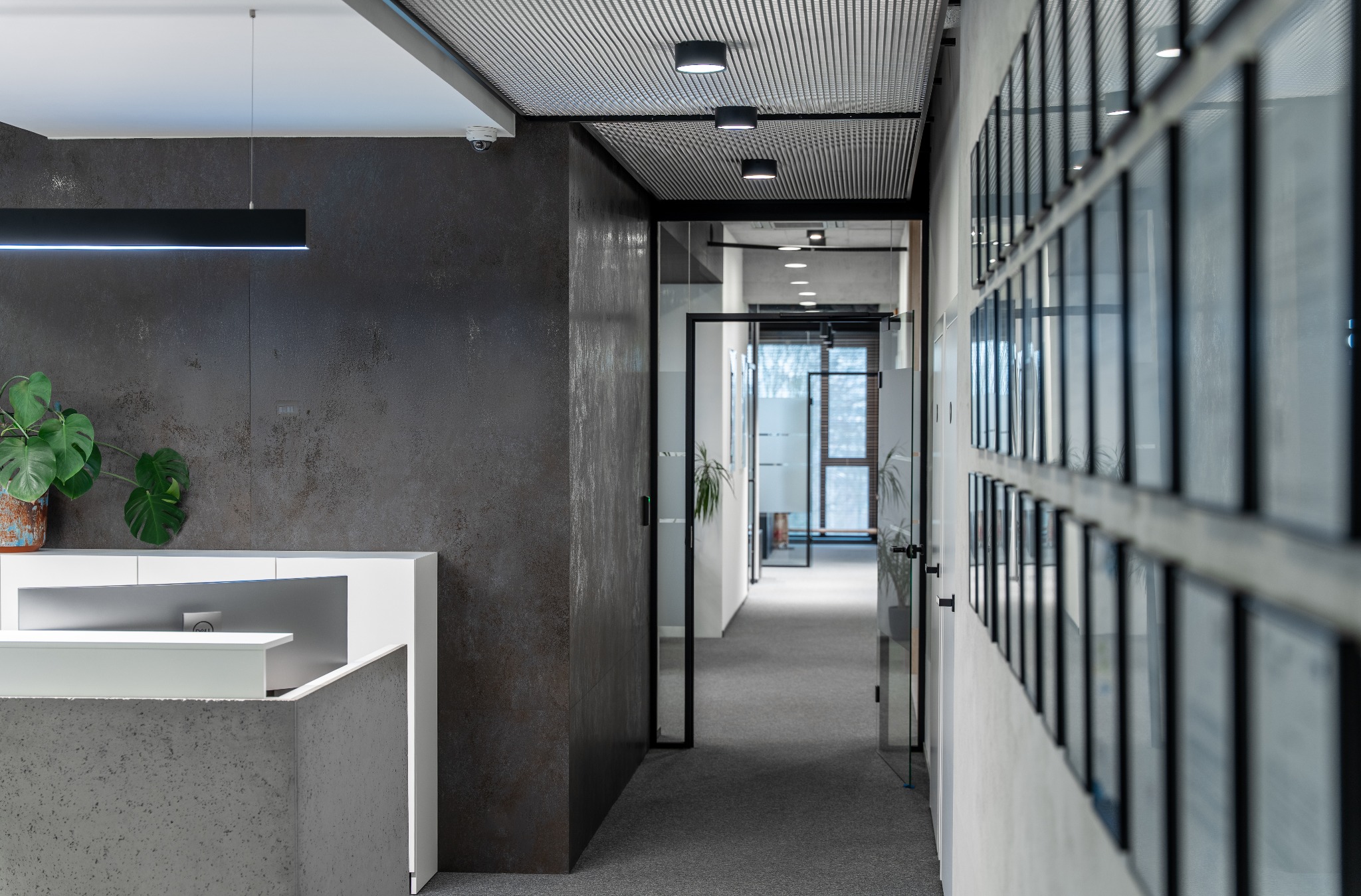 Nowoczesne wnętrze biurowe z recepcją, rośliną w doniczce i szklanymi ścianami działowymi. Widoczny korytarz z oświetleniem sufitowym i rzędem oprawionych zdjęć na ścianie.