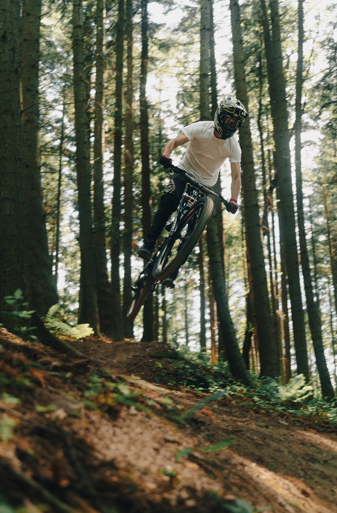 Dynamiczne ujęcie rowerzysty w kasku, skaczącego na rowerze górskim w leśnym otoczeniu. Promienie słoneczne przesączają się przez wysokie drzewa.