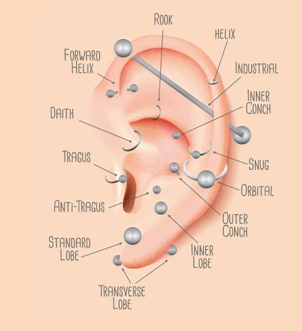 Ilustracja ucha z zaznaczonymi różnymi rodzajami piercingu: rook, helix, tragus, industrial, orbital, snug, daith, forward helix, anti-tragus, lobe.