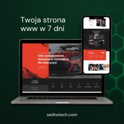 Tworzenie stron internetowych Włocławek 1