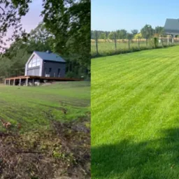 Założenie trawnika z siewu