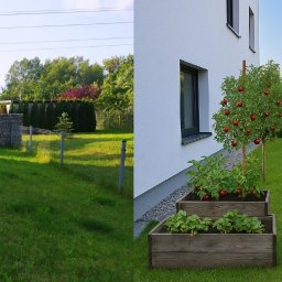 Trawa z rolki Mikołów 1