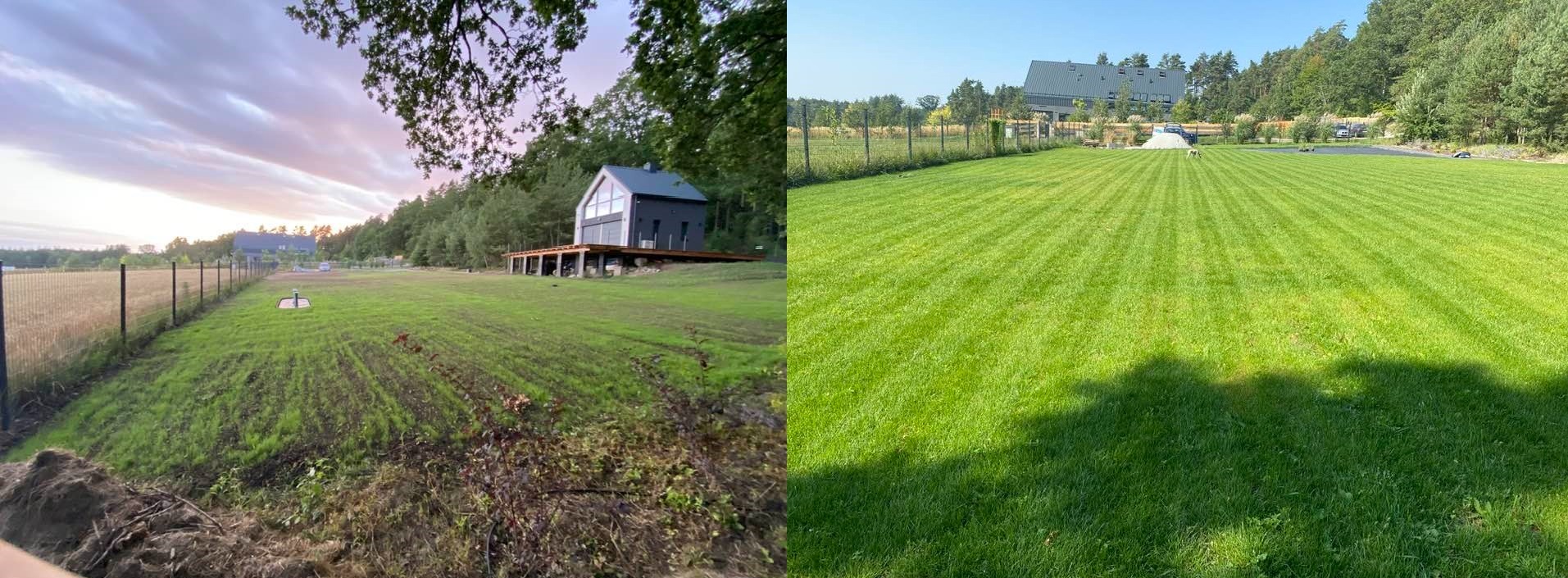 Założenie trawnika z siewu