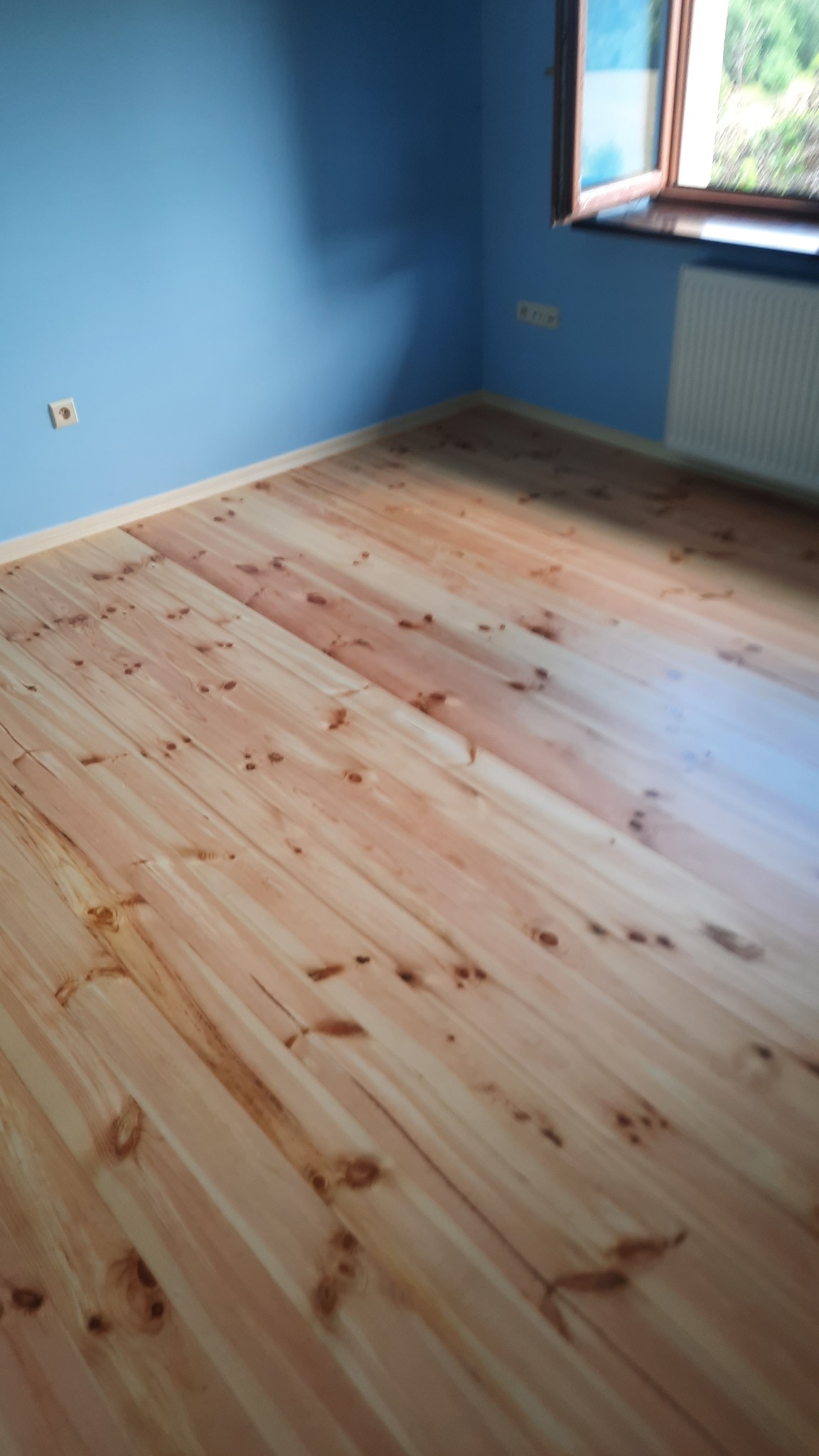 Jasna, sosnowa podłoga w pokoju z błękitnymi ścianami. Widoczne sęki i naturalny wzór drewna. Okno w tle wpuszcza światło dzienne. Nowa podłoga po renowacji, gotowa do użytku.