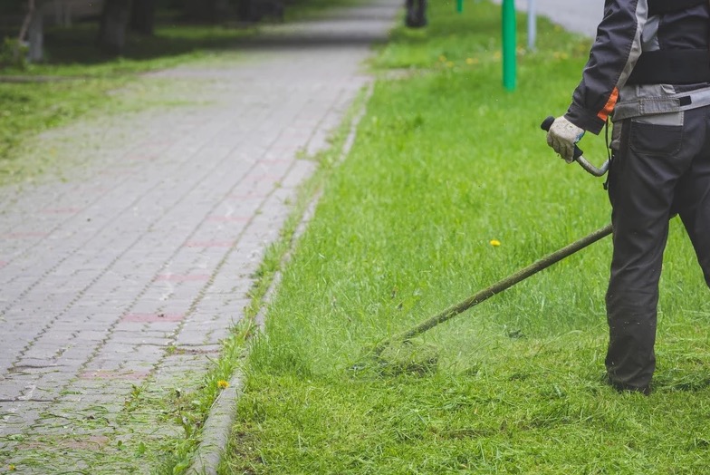 Osoba w kombinezonie roboczym kosi trawę przy chodniku za pomocą podkaszarki spalinowej. Świeżo skoszona trawa leży na kostce brukowej.