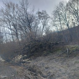 Malowanie mieszkań Raciechowice 1