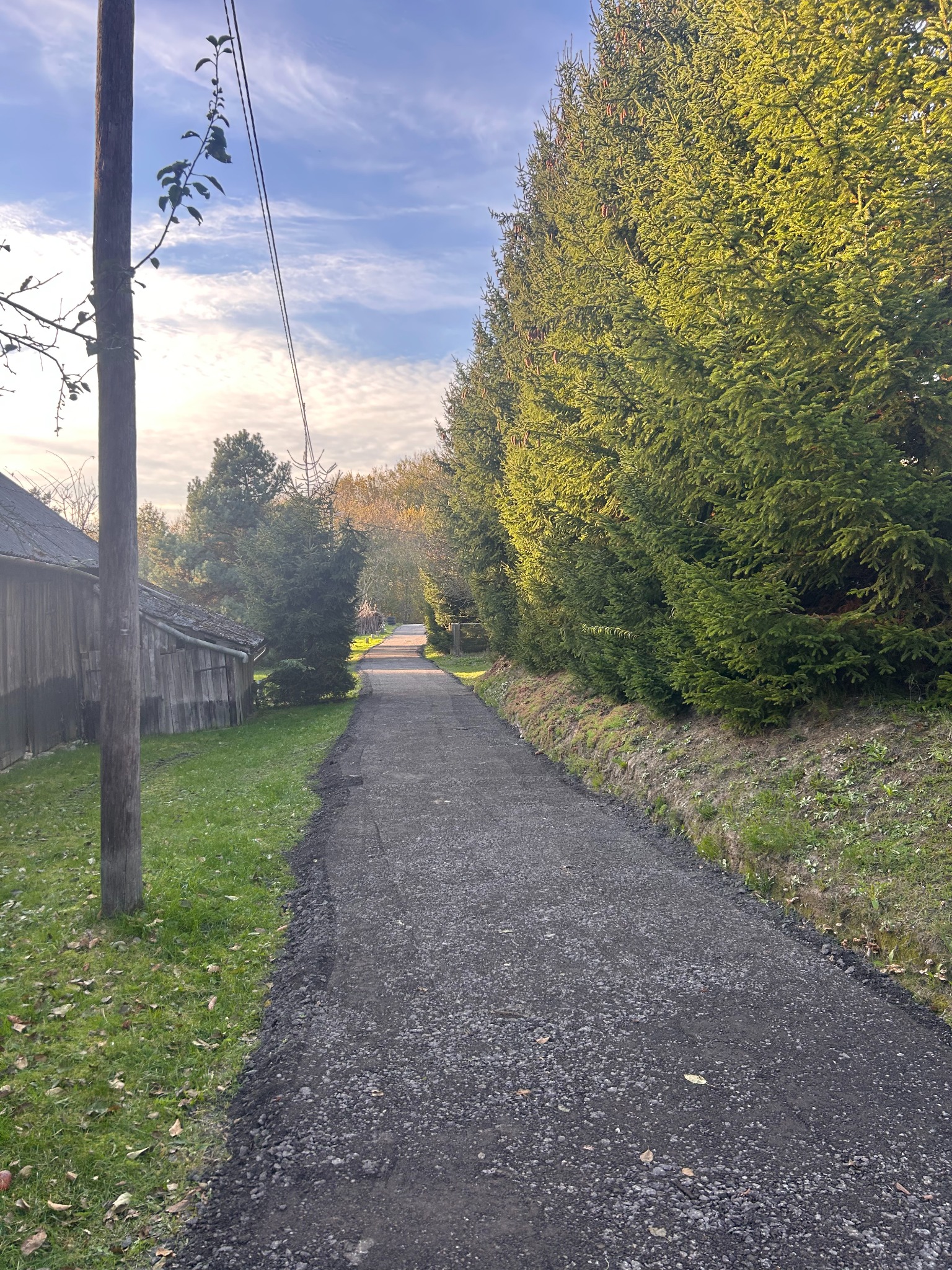 Utwardzona droga gruntowa prowadząca wzdłuż drzew i drewnianego budynku w słoneczny dzień. Widoczny słup elektryczny.