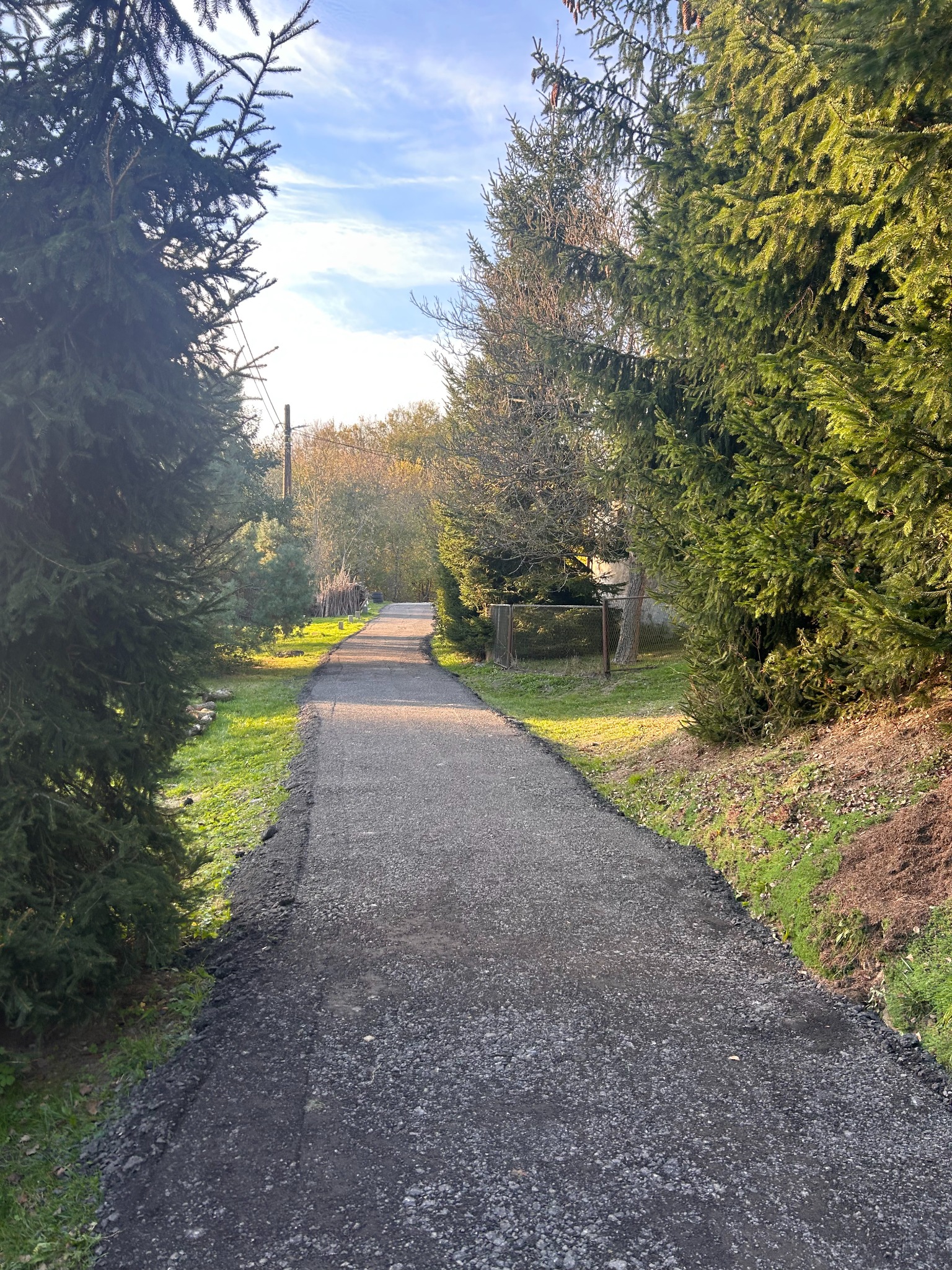 Utwardzona droga gruntowa, widok perspektywiczny. Po bokach drzewa iglaste, w tle drzewa liściaste. Błękitne niebo z delikatnymi chmurami. Słoneczny dzień.