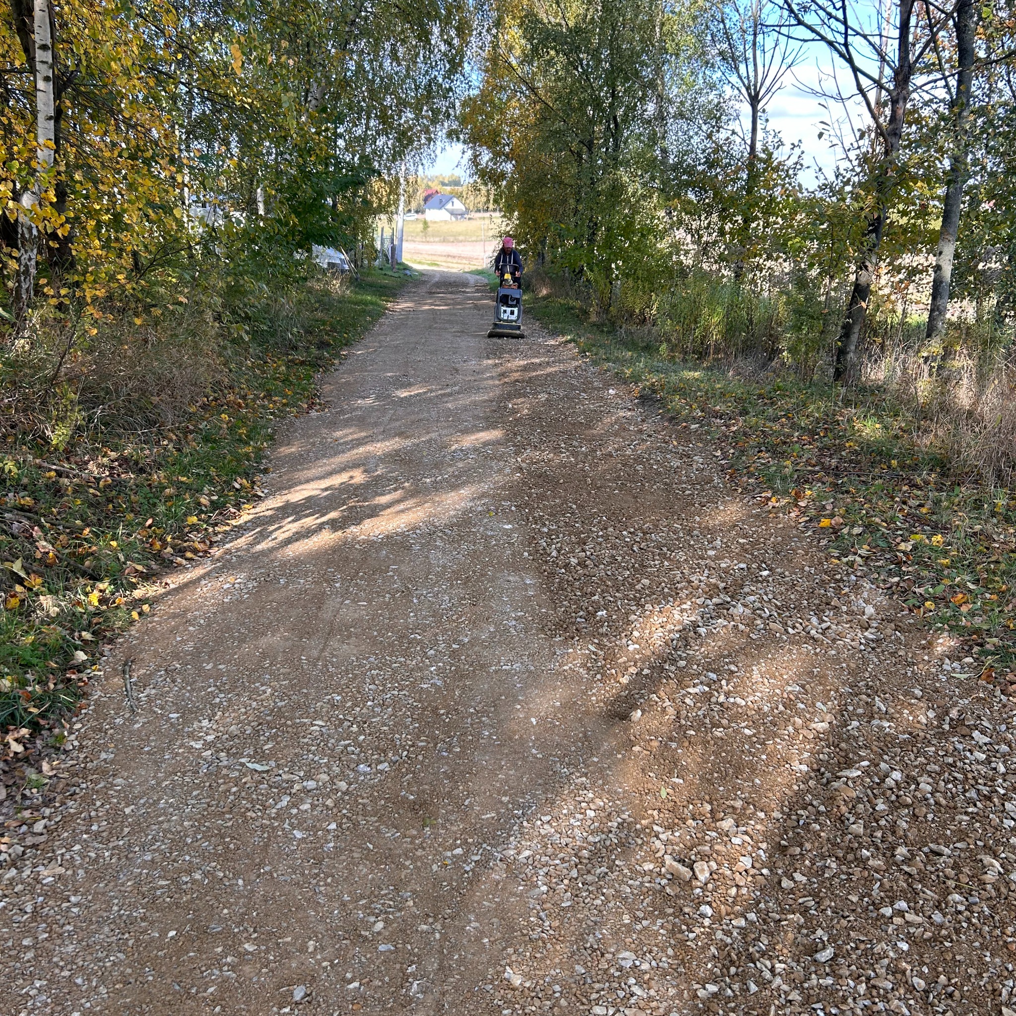 Praca zagęszczarką na drodze gruntowej, otoczonej drzewami w jesiennej scenerii. Widoczny operator maszyny i częściowo zabudowania w oddali.