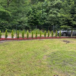 TERRA LUX - Równy rząd małych tujek, obłożonych czerwoną korą i obramowanych bordową obwódką, oddziela trawnik od siatki ogrodzeniowej. W tle drzewa i szary samochód.