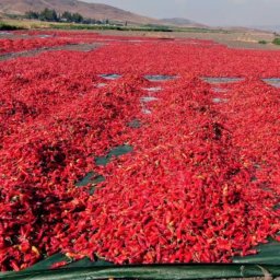 Biznes plan Katowice 3