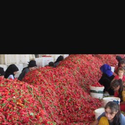 Biznes plan Katowice 4