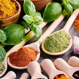 Et.mustafa yasar spoka Javna - Audyt Wewnętrzny Katowice