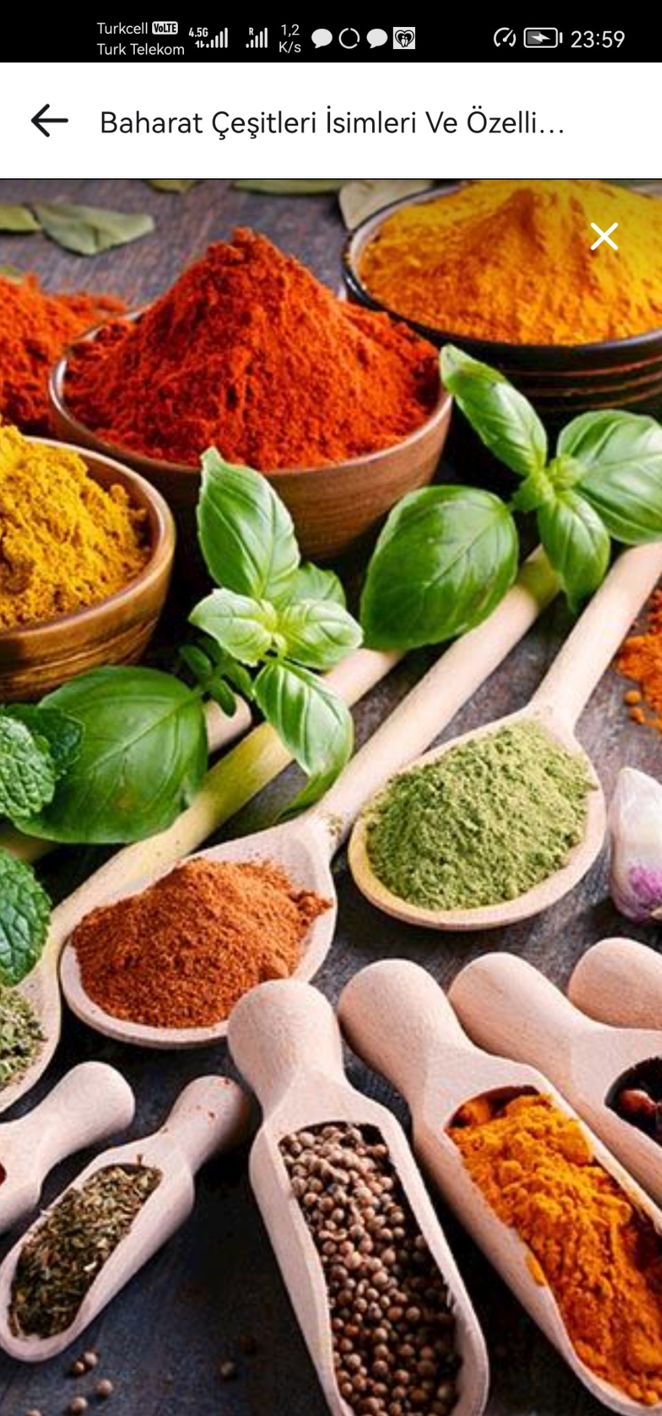 Kompozycja przypraw w drewnianych miseczkach i łyżkach: kurkuma, papryka, curry, zioła. Bazylia dodaje świeżości. Zdjęcie z góry, ciepłe kolory, naturalne światło.