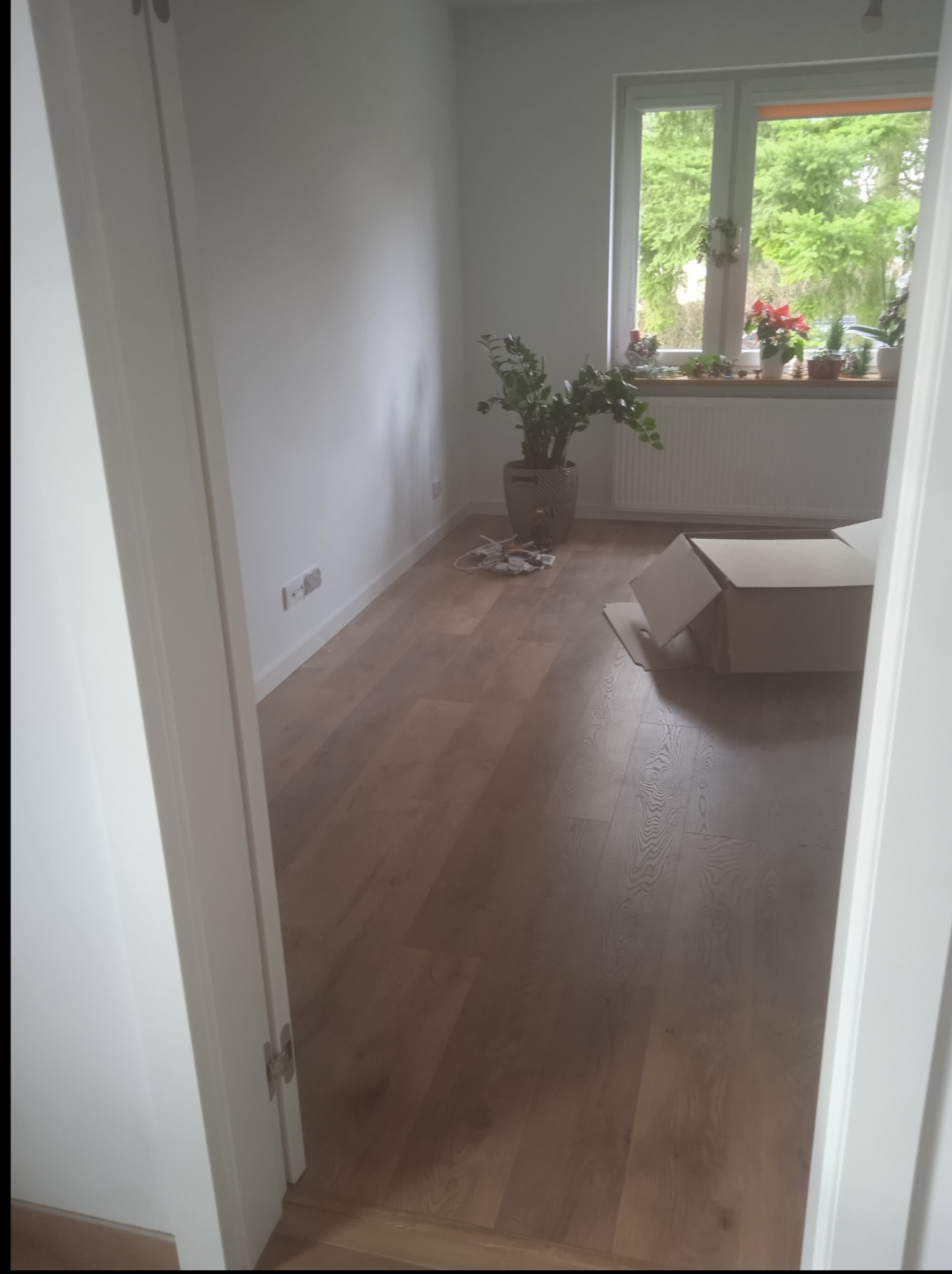 Jasne wnętrze pokoju z drewnianą podłogą, białymi ścianami i oknem z widokiem na zieleń. Kartonowe pudło i roślina doniczkowa dodają charakteru.