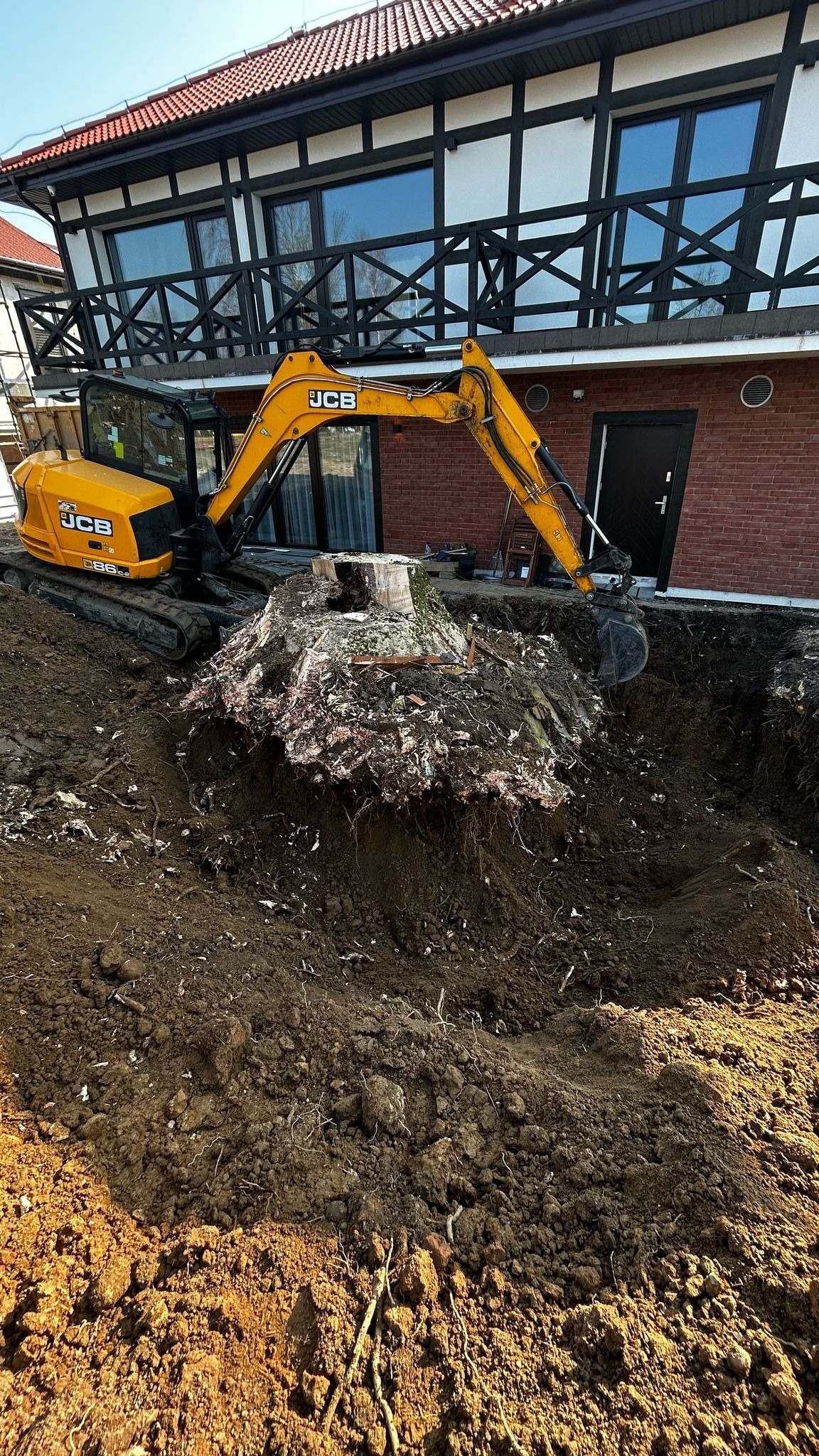 Żółta koparka JCB usuwa korzeń drzewa z wykopu obok budynku z cegły. Widoczne korzenie i ziemia. Prace ziemne w toku.
