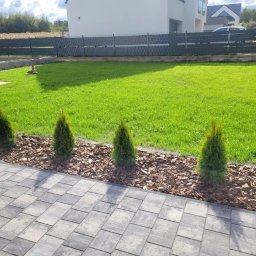 Trawa z rolki Łódź 1