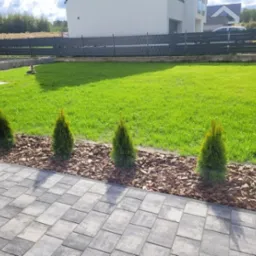 Ułożona kostka brukowa, obok rząd małych drzewek iglastych podsypanych korą, a w tle zadbany trawnik i nowoczesny dom z szarą elewacją.