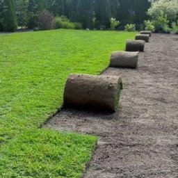 ZAKŁAD USŁUGOWY REWKOM - Trawa Rolowana Łódź