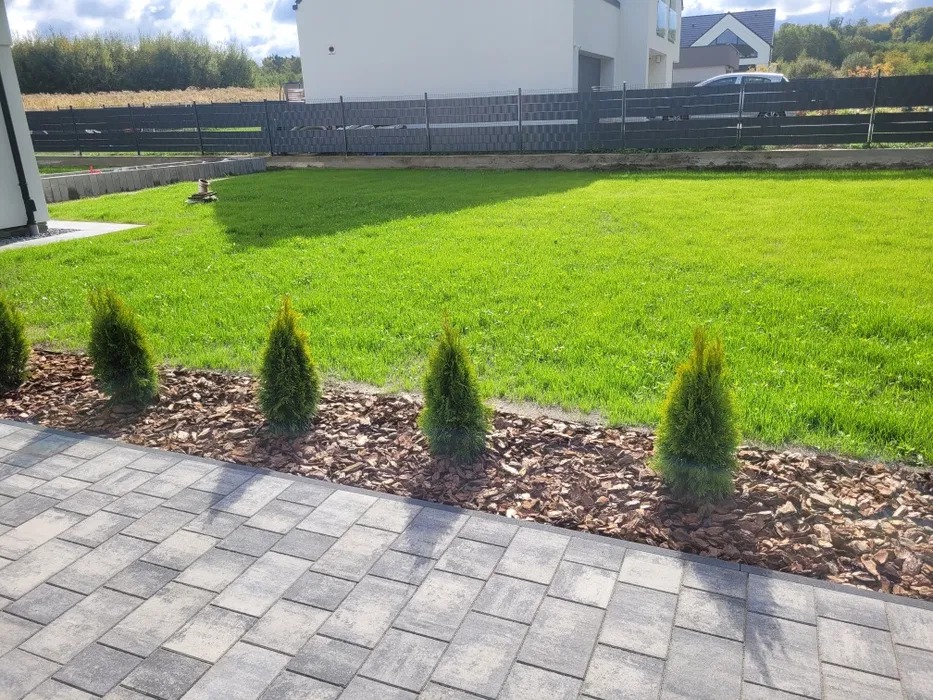 Ułożona kostka brukowa, obok rząd małych drzewek iglastych podsypanych korą, a w tle zadbany trawnik i nowoczesny dom z szarą elewacją.