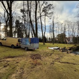 W trakcie sprzątania powalonego drzewa