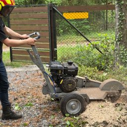 Proces usuwania pnia