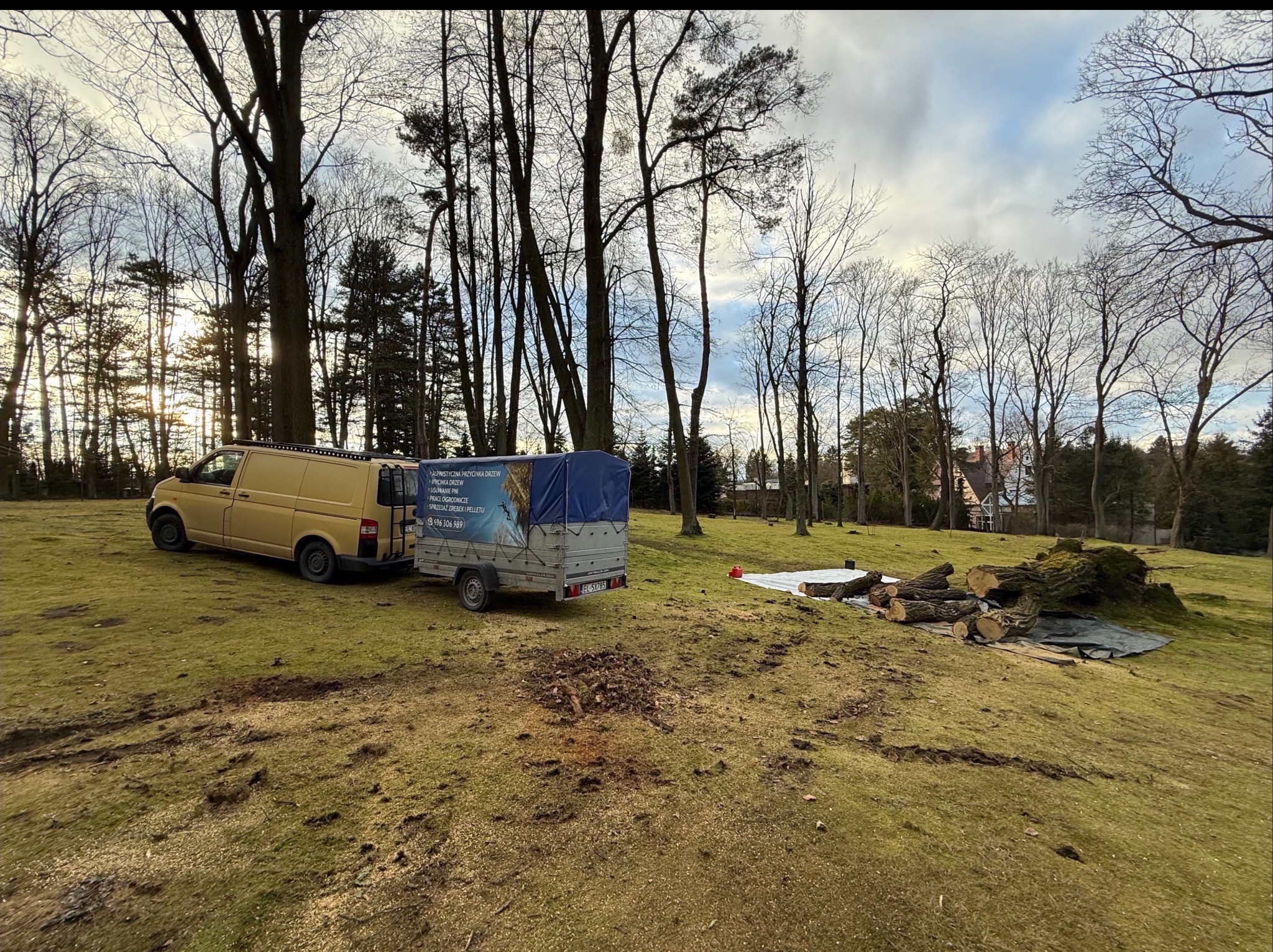 W trakcie sprzątania powalonego drzewa