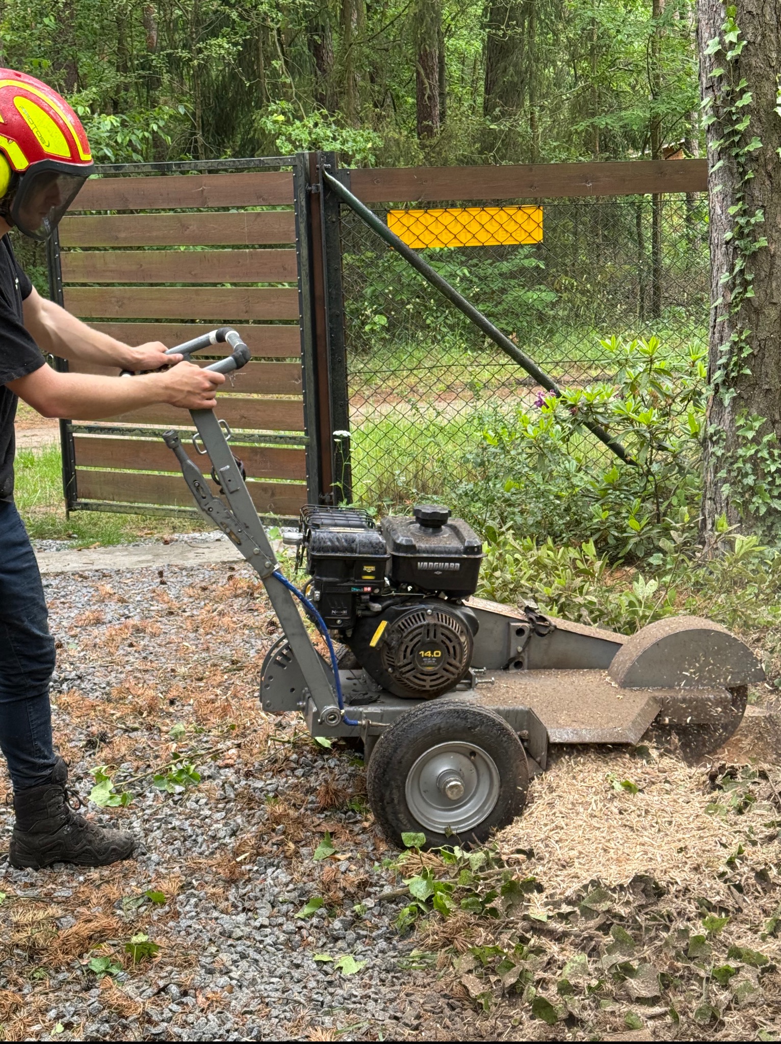 Proces usuwania pnia