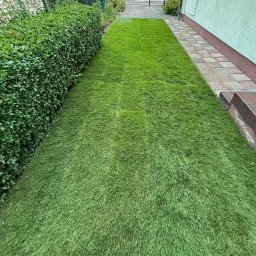 Green Garden Opolskie - Dobra Trawa w Rolce Kędzierzyn-Koźle