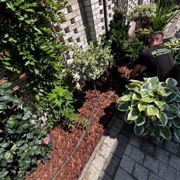 Koszenie trawy Kędzierzyn-Koźle 4