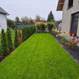 Green Garden Opolskie - Świeżo skoszony, soczyście zielony trawnik z pasami, otoczony szpalerem tuj i nowoczesnymi nasadzeniami traw ozdobnych na tle elewacji domu z drewnianymi elementami i czarnym żwirkiem.