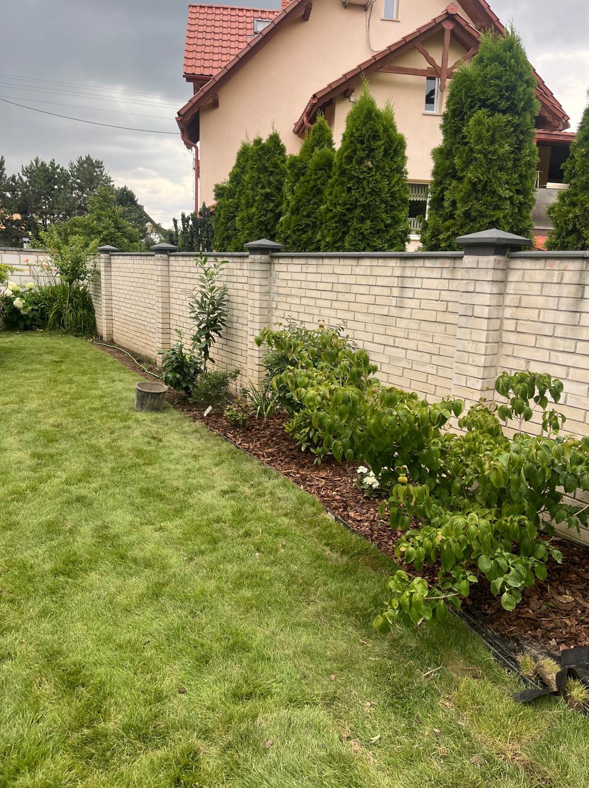 Ogród po pielęgnacji: zielony trawnik, rabata z krzewami i korą, ceglany mur z tujami w tle, dom z czerwoną dachówką. Widok na zadbany teren.