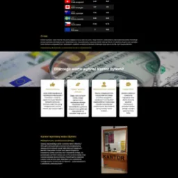 Strona internetowa kantoru wraz z panelem administracyjnym na platformie Wordpress