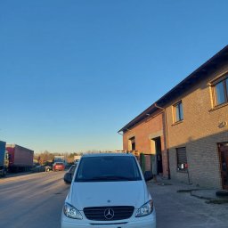 Magazynowanie i przechowywanie Lisi Ogon 1