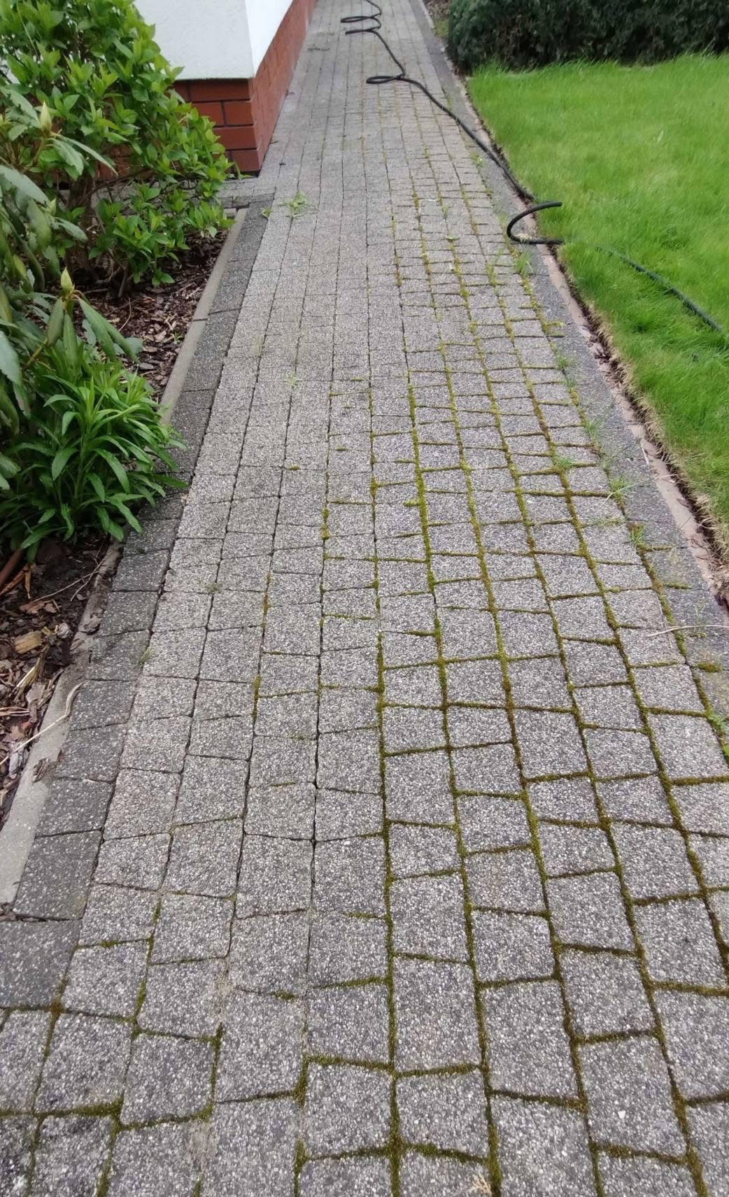 Zaniedbana kostka brukowa z mchem i chwastami, widoczny wąż ogrodowy. Brak czystości, kostka wymaga interwencji czyszczącej.