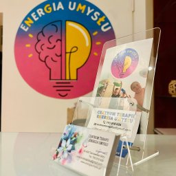 ENERGIA UMYSŁU Kamila Lichosik - Logo i wizytówki Centrum Terapii Energia Umysłu z motywem mózgu/żarówki, prezentowane w przezroczystym stojaku na blacie.