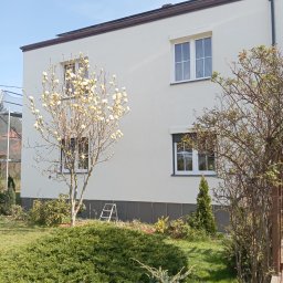 ON BUD SPÓŁKA Z OGRANICZONĄ ODPOWIEDZIALNOŚCIĄ - Wysokiej Klasy Odgrzybianie Elewacji Rybnik