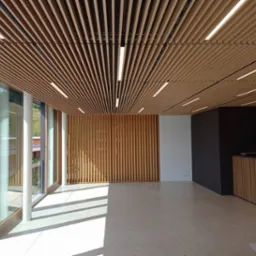 Nowoczesne wnętrze biura z drewnianą lamelową ścianą i sufitem, oświetlone liniowymi lampami LED. Duże okna wpuszczają naturalne światło. Minimalistyczny design.