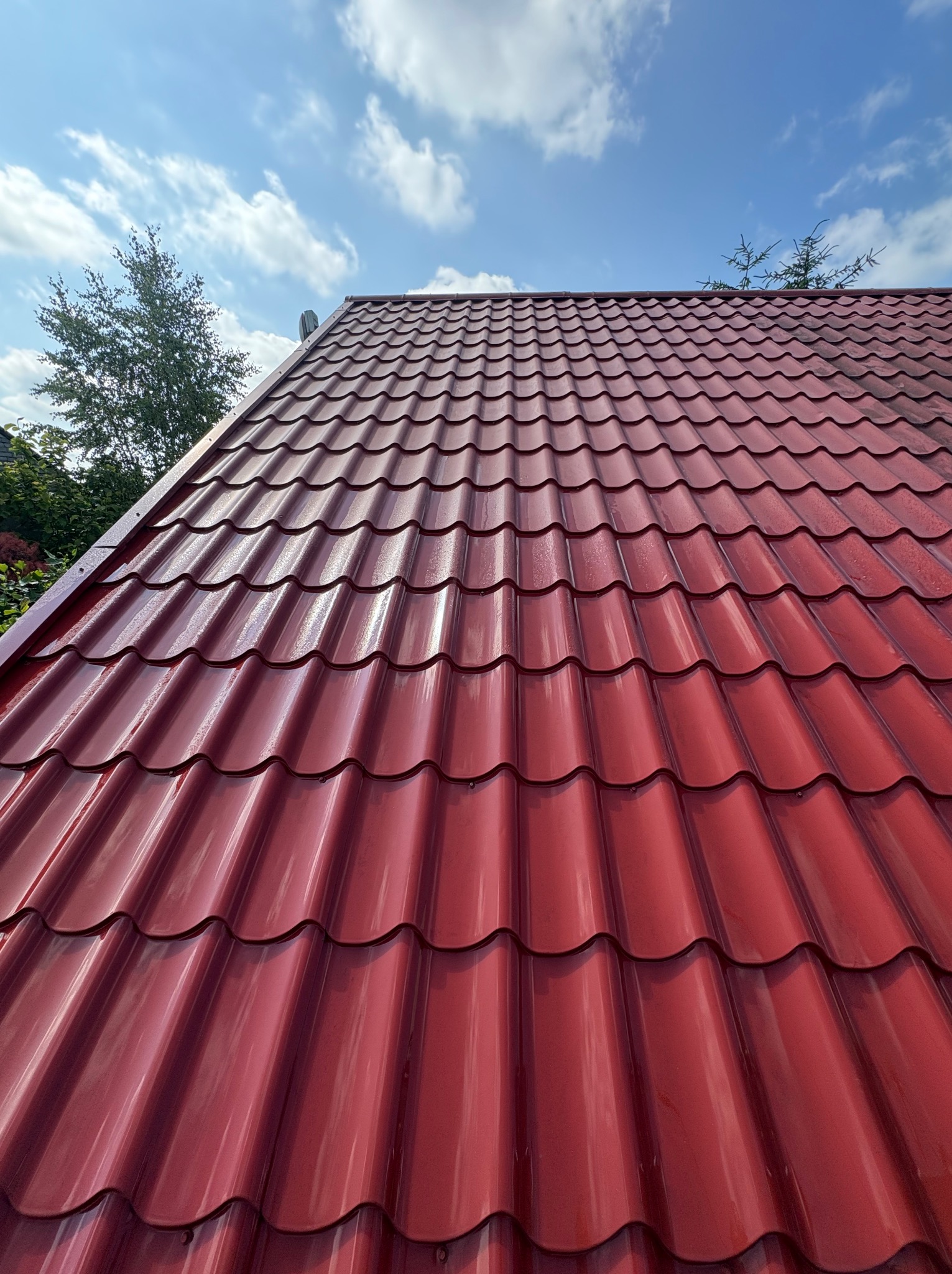 Błyszczący, czerwony dach z blachy trapezowej pod błękitnym niebem z chmurami. Widoczne drzewa w tle. Dach po umyciu, brak zabrudzeń.