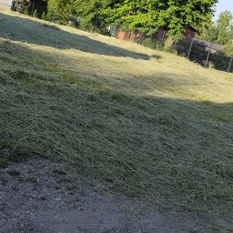 Koszenie trawy Kleszczewo Kościerskie 1